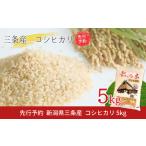 ふるさと納税 米 コシ