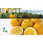 ふるさと納税 果物類 