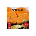 ショッピング甘平 ふるさと納税 みかん・柑橘類 愛媛県 八幡浜市  濃密でシャキシャキ甘い 代々橙甘平 訳あり 5kg E83-39 1623738