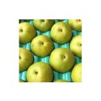 ショッピングふるさと納税 梨 ふるさと納税 梨 長野県 飯島町 二十世紀梨 9kg(秀24〜28玉) 1615462