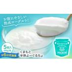 菓子 ヨーグルト 全6回定期便 オオヤブデイリーファーム