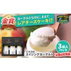 菓子 ヨーグルト 全9回定期便 オオヤブデイリーファーム