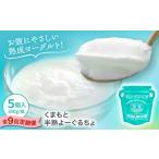 菓子 ヨーグルト 全9回定期便 オオヤブデイリーファーム