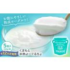菓子 ヨーグルト 全12回定期便 オオヤブデイリーファーム