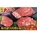 牛肉 ステーキ 全3回定期便 熊本 あか牛 ファミリー