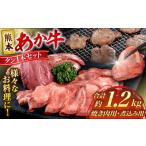 牛肉 タン 令和8年熊本地震復興支援 熊本