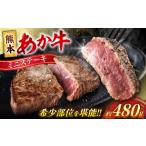 令和8年熊本地震復興支援 ヒレ あか牛 ヒレステーキ