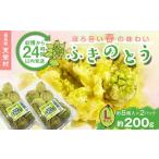 fu.... налог овощи вид дикоросы Fukushima префектура небо .... из 24 часов в течение отправка .... весна. тест ..[ Fuki no Tou ]L размер 200g( примерно 16 шт ) F21T-348 L размер 200g