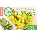 fu.... налог овощи вид дикоросы Fukushima префектура небо .... из 24 часов в течение отправка .... весна. тест ..[ Fuki no Tou ]M размер 1 упаковка 100g( примерно 12 шт ) F21T-349 M размер 100g