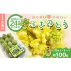 fu.... налог овощи вид дикоросы Fukushima префектура небо .... из 24 часов в течение отправка .... весна. тест ..[ Fuki no Tou ]S размер 1 упаковка 100g( примерно 15 шт ) F21T-351 S размер 100g