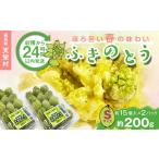 fu.... налог овощи вид дикоросы Fukushima префектура небо .... из 24 часов в течение отправка .... весна. тест ..[ Fuki no Tou ]S размер 200g( примерно 30 шт ) F21T-352 S размер 200g