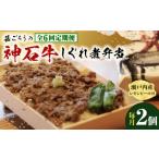 惣菜 レトルト 全6回定期便 牛 神石しぐれ飯