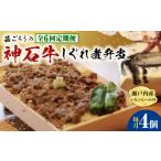 惣菜 レトルト 全6回定期便 牛 神石しぐれ飯