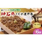 惣菜 レトルト 全6回定期便 牛 神石しぐれ飯