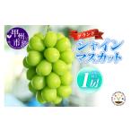 シャインマスカット 極上 650g以上