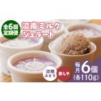 アイス ヨーグルト ジェラート 全6回定期便