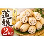 人参 大根 他根菜 れんこん 2kg