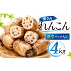 人参 大根 他根菜 訳あり れんこん 4kg