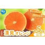 厳選 清見オレンジ 5kg+250g 傷み補償分