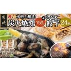 鶏肉 焼き鳥 本格手焼き 炭火焼鶏 150g×5P