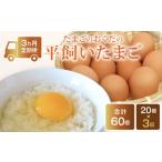 平飼い卵 20個入り