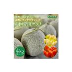 ふるさと納税 メロン メロン青肉 鳥取県 北栄町 956. ふるさと納税 青肉メロンディーバと赤肉メロンプリモレッドのセット 日本全国配送可能 2025年10月上旬頃…
