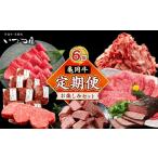 ふるさと納税 牛肉 セット 京都府 亀岡市  牛肉 定期便 6回 ブランド和牛 亀岡牛 6ヵ月 お楽しみセット 計4.05kg 切り落としこま切れ 赤身ステーキ ローストビ…
