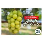 果物類 ぶどう 八ケ岳南麓産 マスカ サーティーン