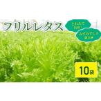 野菜類 フリルレタス 10袋