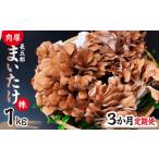野菜類 きのこ 3ヶ月定期便 まいたけ 長五郎まいたけ