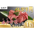 牛肉 バラ カルビ 定期便3回 佐賀牛 希少部位