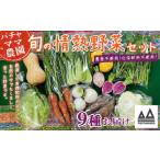 fu.... налог комплект *... Ibaraki префектура Shimotsuma город сельское хозяйство . вызывающий чувство гордости страстность овощи комплект ( 9 товар ) овощи набор оставив решение кому-то другому сезон предмет комплект горный ямс петрушка васаби . Popcorn...