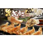 ふるさと納税 餃子 宮崎県 都城市 しいたけ屋さんの旨ぎょうざ_AA-M101_(都城市) ぎょうざ 旨餃子 都城産 しいたけ 豚肉 20個入り×2 椎茸たっぷり 焼き餃子 …