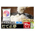 ふるさと納税 米 宮城