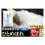 ふるさと納税 米 ひと