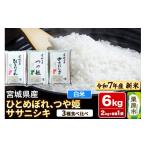 ふるさと納税 米 ひと