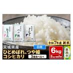ふるさと納税 米 ひと