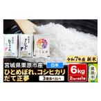 ふるさと納税 米 ひと