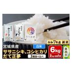ふるさと納税 米 ササ