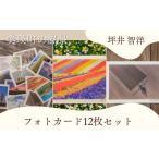 はがき フォトカード 写真家 坪井 智洋 美瑛の風景