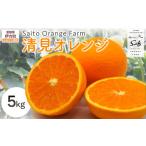 果物類 みかん Saito Orange Farmの清見オレンジ5kg