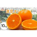 果物類 みかん Saito Orange Farmの清見オレンジ10kg