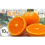 ふるさと納税 果物類 みかん 愛媛県 伊方町  先行予約 Saito Orange Farmの訳あり清見オレンジ10kg（2026年3月中旬頃より順次発送） ふるさと納税 人気 おすす…