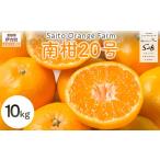 みかん 柑橘類 Saito Orange Farmの南柑20号10kg