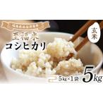 ふるさと納税 玄米 福島県 西会津町 令和7年産米 西会津産米 至福米コシヒカリ 玄米 5kg F4D-2145 1回