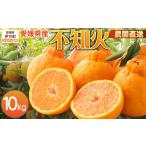 果物類 みかん チョイス 栽培期間中農薬不使用