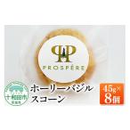 焼菓子 チョコレート ホーリーバジルスコーン 45g×8個