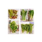 fu.... налог овощи вид дикоросы Aomori префектура 10 мир рисовое поле город . c . отправка Aomori префектура 10 мир рисовое поле город производство дикоросы комплект 2~5 вид ( вид случайный ) 1 коробка 1597928