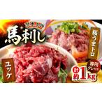 馬肉 令和8年熊本地震復興支援 鮮馬刺し