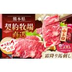 馬肉 熊本 馬刺し 霜降り 中トロ 計約500g 約50g×10個